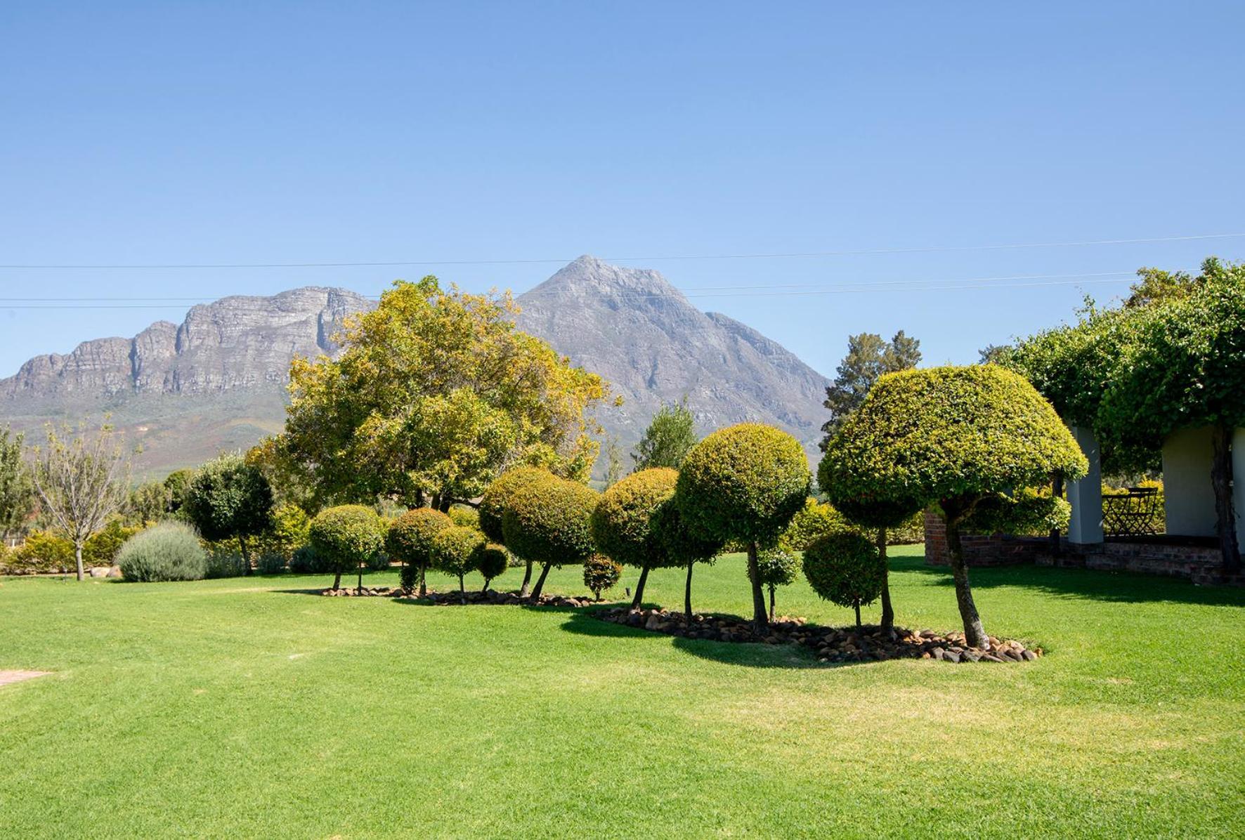 Saronsberg Vineyard Cottages Талба Екстер'єр фото