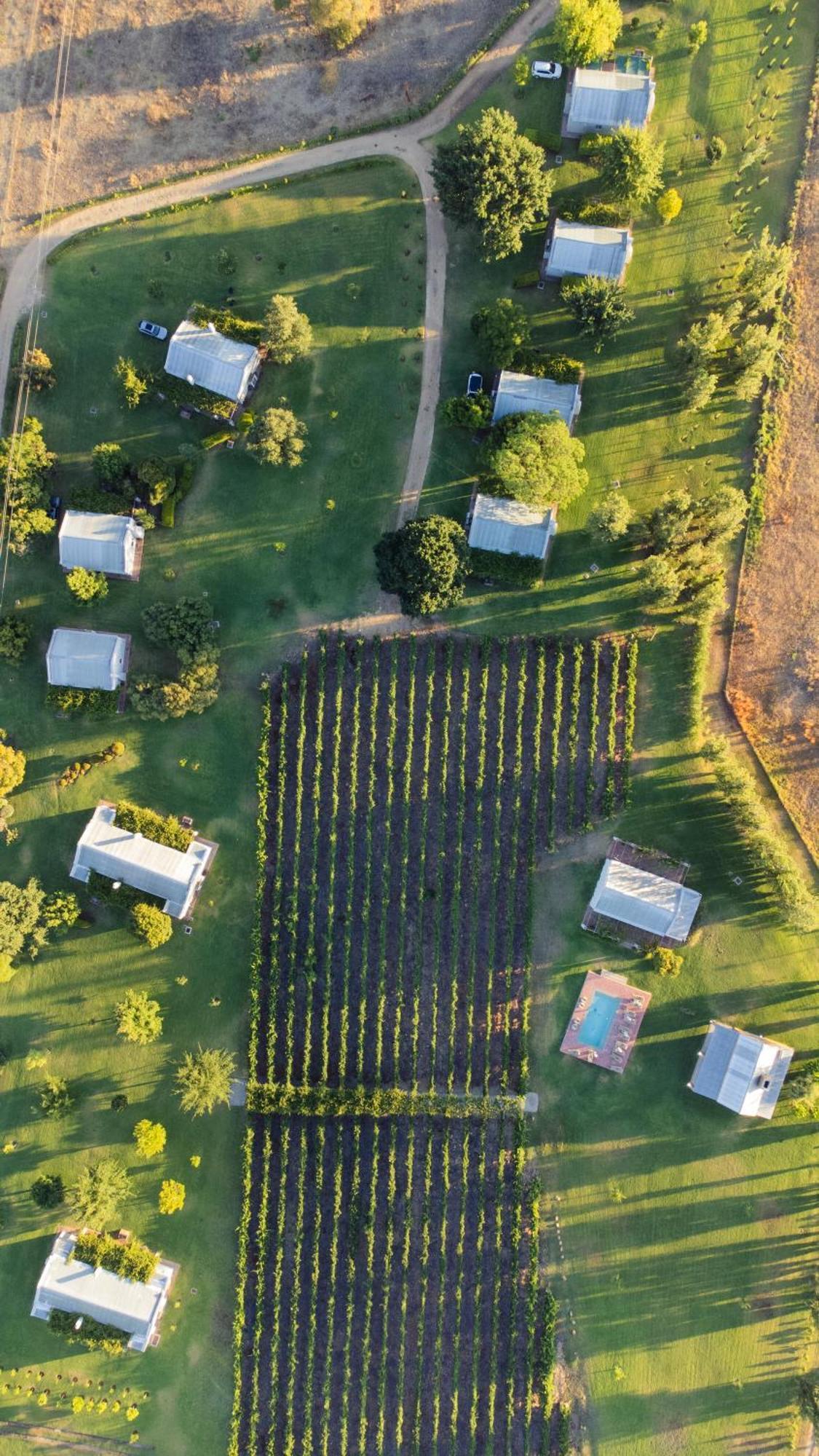 Saronsberg Vineyard Cottages Талба Екстер'єр фото