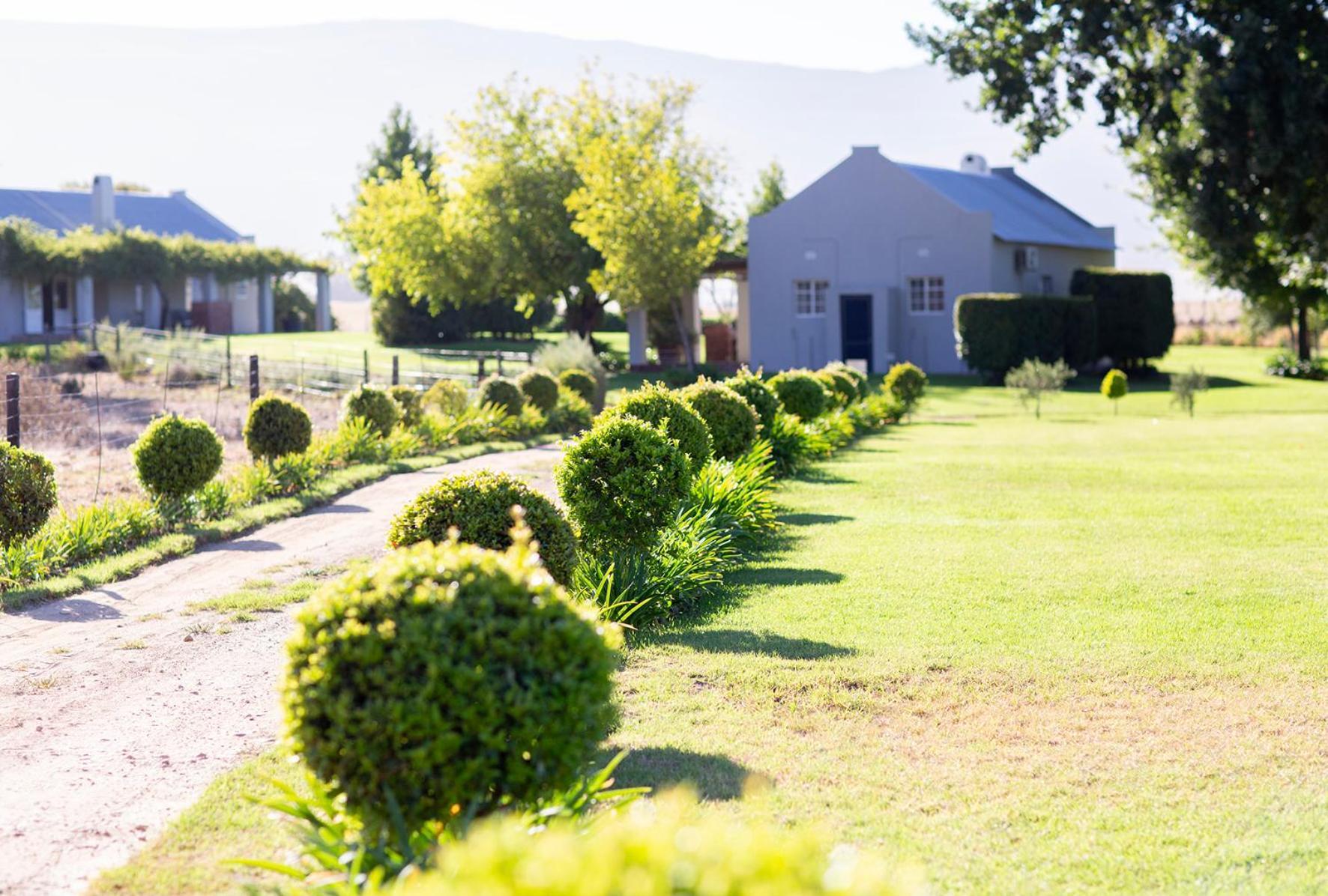 Saronsberg Vineyard Cottages Талба Екстер'єр фото
