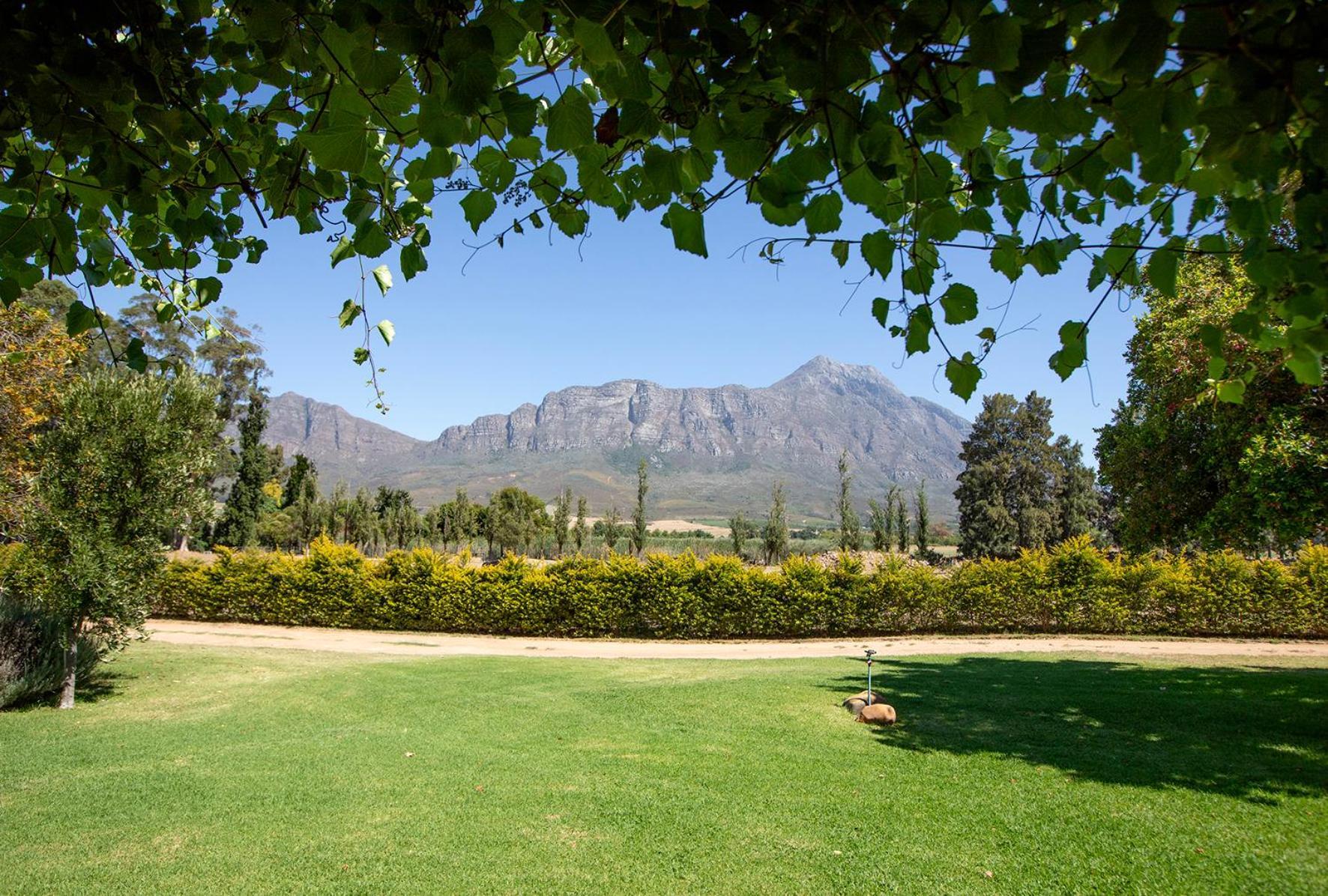 Saronsberg Vineyard Cottages Талба Екстер'єр фото