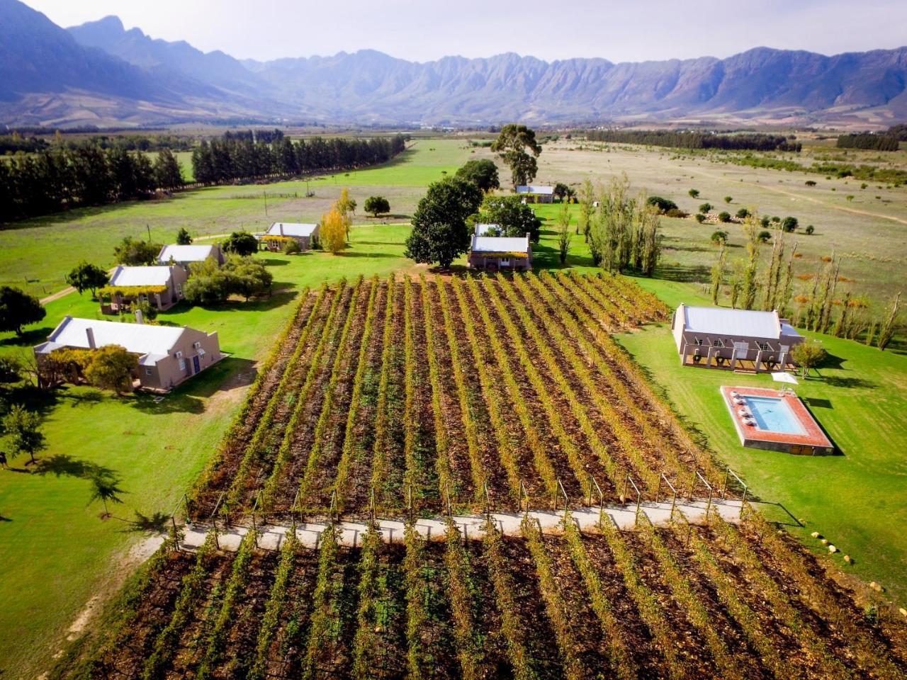Saronsberg Vineyard Cottages Талба Екстер'єр фото