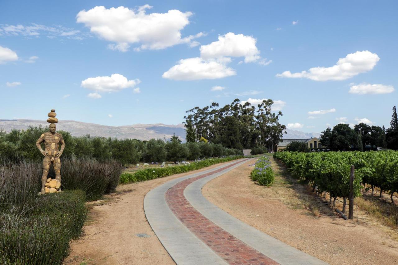 Saronsberg Vineyard Cottages Талба Екстер'єр фото